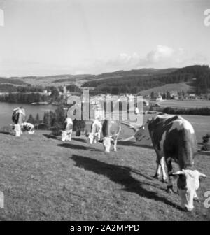 Ein Ausflug in den Südschwarzwald, Deutsches Reich 1930er Jahre. Un viaggio per la Foresta Nera meridionale, Germania 1930s. Foto Stock