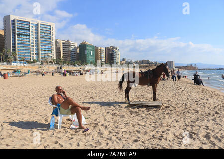 Beirut, Libano - 03 ottobre 2019. Un cavallo arabo non si raffredda in spiaggia su una calda giornata torrida a Beirut con temperature sopra la media per il mese di ottobre . Credito: amer ghazzal/Alamy Live News Foto Stock