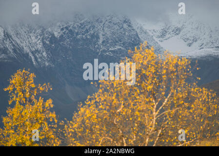 Colori autunnali in Norvegia, Troms County Foto Stock