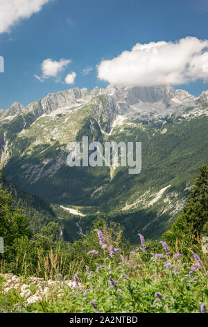 Vista panoramica del paesaggio alpino da Vrsic Pass nelle Alpi Giulie, Slovenia Foto Stock