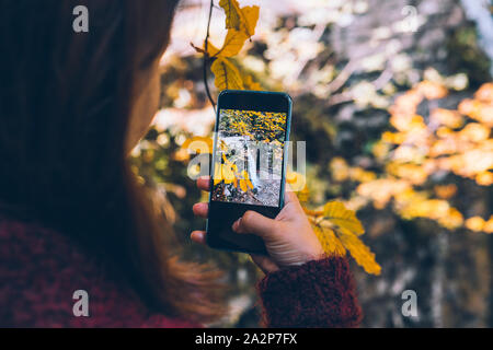 La donna sta immagine di autunno cascata sul telefono Foto Stock