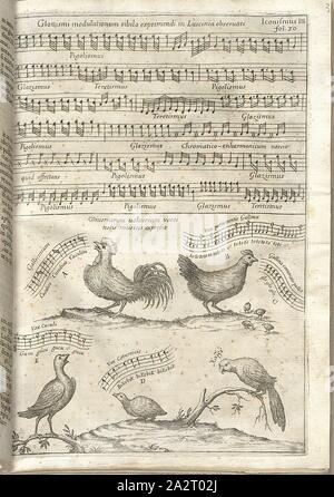 Modulazione Glottismi whistle per esprimere l'Usignolo osservato;, illustrazione di varie specie di uccelli e associati note musicali dal XVII secolo, piastra III, p. 30, 1650, Athanasius Kircher: [...] Musurgia universalis, sive Ars magna consoni et dissoni in X libros digesta: qua uniuersa sonorum doctrina, & philosophia, musicaeque tam theoricae, quam practicae scientia, summa varietate traditur [...]. Tomus I. Romae : ex Typographia haeredum Francisci Corbelleti, 1650 Foto Stock