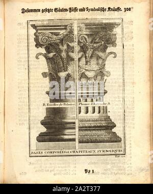 Basi Composite e capitelli simbolici, Base e capitale, tab. 120, p. 301, Augustin-Charles d'Aviler, Vignola, Michelangelo, Leonhard Christoph Sturm, Hertel: Ausführliche Anleitung zu der gantzen Civil-Bau-Kunst [...]. Augspurg: bey Johann Georg Hertel, 1747 Foto Stock