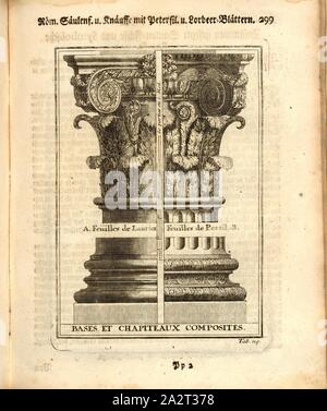 Basi Composite e capitelli, di base e di capitale (ordine composito), Tab. 119, p. 299, Augustin-Charles d'Aviler, Vignola, Michelangelo, Leonhard Christoph Sturm, Hertel: Ausführliche Anleitung zu der gantzen Civil-Bau-Kunst [...]. Augspurg: bey Johann Georg Hertel, 1747 Foto Stock