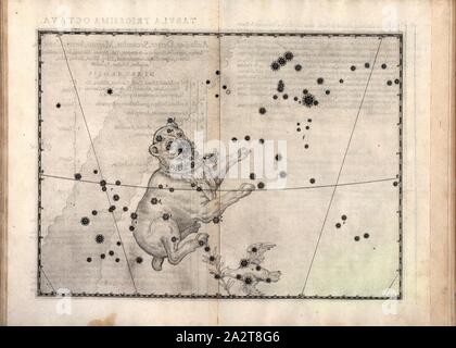 Maggiore canile, Constellation Big Dog, p. 124, Mair, Alexander (inc.), 1603, Ioannis Bayeri Uranometria omnium asterismorum (...). Augustae Vindelicorum: excudit Christopherus Mangus, 1603 Foto Stock