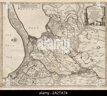 Le tre isole, chiamato in tedesco Werders, o sono i territori di Dantzic, Marienburg e Elbing in Royal Prussia, con il Mar Baltico Coste, Mappa di Gdansk e Malbork Elblag in Royal Prussia dal XVIII secolo, firmato: suivant la descrizione de Olaus Jean Gotho, et autres Auteurs Celebres rectifiés les les M oires les plus recens à présent donnez, au Public par PIERRE VANDER AA, Marchand Libraire UN LEIDE, avec Privilege, Fig. 9, dopo p. 76, Aa, Pierre vander (chez), 1727, Adam Olearius: Voyages très-curieux et très-renommez faits en Moscovie, Tartarie et Perse: dans lequels su Foto Stock