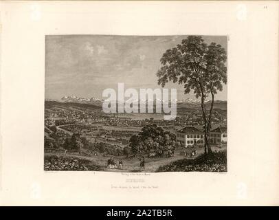 Zurigo, Zurigo con il lago di Zurigo e panorama alpino, firmato: Winterlin (CANC.), L. Weber (sc.), Pl., 18, p. 41, Winterlin Anton Beck Theophil, (CANC.); Weber, Lukas (sc.), 1870, Ludwig Rohbock: Album der Nord- und Ostschweiz: 100 Stahlstiche aus den Cantonen Basilea, Solothurn, Argovia, Zurigo, Sciaffusa, Turgovia, San Gallo, Appenzello, Glarona und Grigioni. Basilea: Verlag von Chr. Krüsi, [ca. 1870 Foto Stock