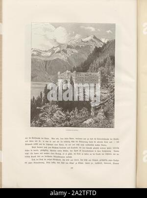 Giessbach-Hotel, vista del Giessbach Hotel sul Lago di Brienz dal xix secolo, firmato: T. v. Chr., e Fig. 218, p. 248,, Eckenbrecher Themistokles von, Woldemar Kaden: Das Schweizerland: eine Sommerfahrt durch Gebirg und Thal. Stoccarda: Engelhorn, 1875 Foto Stock