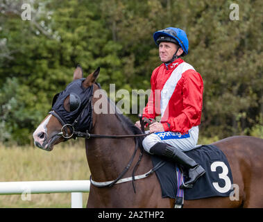 Jockey Paolo Hanagan sulla danza Diva, prima dell'inizio dell'Irish stallone fattorie EBF Scottish Premier Fillies' Handicap a Musselburgh - 29 settembre 201 Foto Stock