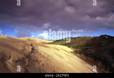 La Nuova Zelanda. 90 Mile Beach. Il drifting duna di sabbia. Foto Stock