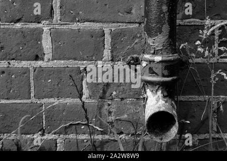 Chiusura del vecchio Ghisa Drainpipe contro un muro di mattoni Foto Stock