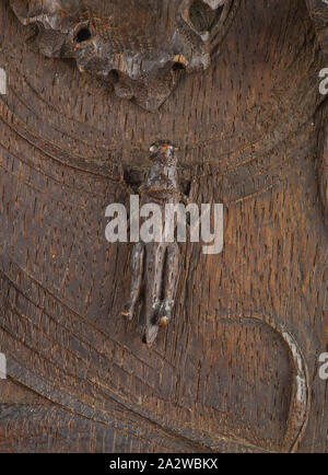 Salamander e Bird, Edward Henry Buchorn (American, 1871-1945), circa 1903, rovere, 19-1/8 x 7-3/4 x 2 in., Arti Decorative Foto Stock