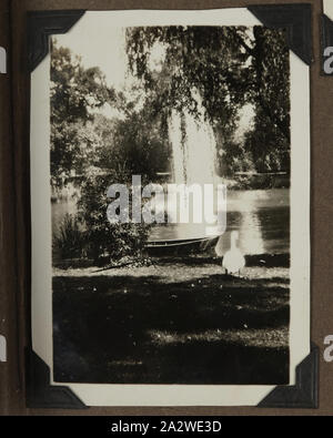 Fotografia - Giardini Botanici, Nantes, Francia, 1927, uno dei novanta tre immagini da un album fotografico portato in Australia da Archibald Gordon Maclaurin quando ha migrato nel 1928. Esso comprende primi foto della sua pre-migrazione viaggi in Francia, così come le foto ha aggiunto una volta in Australia, comprese le foto inviate a lui con la sua famiglia in Inghilterra e le immagini dal suo viaggio di migrazione Foto Stock