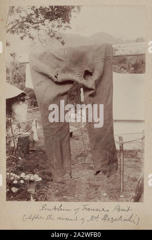 Fotografia - 'Emblema di pantaloni punto', Flinders Island, 1893, uno dei sessantanove in bianco e nero e seppia tonica fotografie in un album legato [di cui sei sono allentati] prese da un J Campbell durante un campo naturalisti' Club di Victoria spedizione scientifica al Furneaux gruppo di isole, Bass Strait, nel novembre1893 Foto Stock