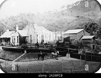 Negativo - Ballarat District, Victoria, pre 1875, 'Ercildoune' homestead e giardini. Vi è una donna a cavallo in primo piano e un secondo, sellati e cavallo che non dispongono di un ciclista Foto Stock