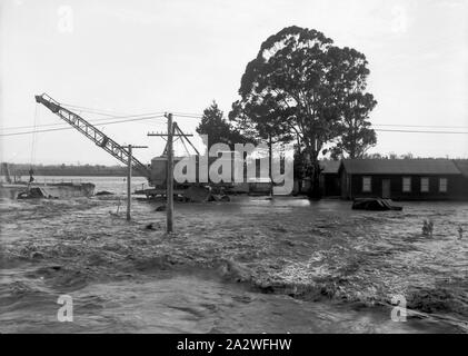 Vetro negativo - Membro Commissione dell'energia elettrica, Yallourn, Victoria, 1934, parte di una grande collezione fotografica di una lastra di vetro e la pellicola di negativi e stampe fotografiche e album fotografici, relative allo sviluppo della alimentazione elettrica industria in Victoria, azionato dal membro della Commissione di elettricità di Victoria (SECV) dal 1919 al 1993 e vari predecessore privati e comunali di alimentazione imprese risalente alla fine del 1880 Foto Stock