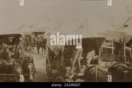 Fotografia - Cavallo e ambulanze con soldati feriti di guerra mondiale I, 1914-1918, fotografia di a vetrina aperta carri ambulanza piena di soldati feriti. La prima guerra mondiale era. Da un album fotografico creato dal sergente John Lord e documenti del suo tempo in Egitto. L'album è stato creato in un notebook rivestito/tipo di agenda e rubrica John Lord completamente riempito gli album con le foto. Tutte le fotografie sono numerati e a matita ha scritto le didascalie intorno a molte delle fotografie Foto Stock