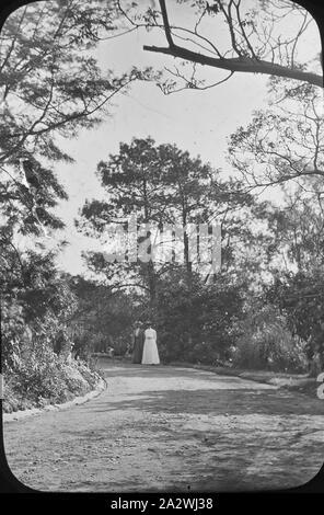 Lantern Slide - Signori in un giardino, Australia, data sconosciuta, immagine in bianco e nero di due donne non identificato in un giardino, fotografata da A.J. Campbell Foto Stock