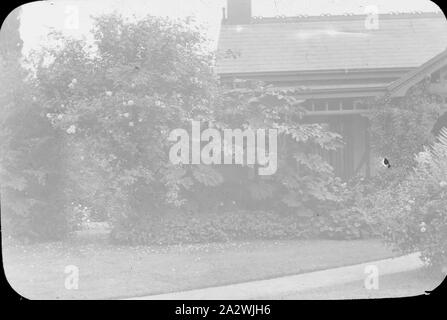 Lantern Slide - giardino suburbano, Australia, data sconosciuta, immagine in bianco e nero di un giardino suburbano fotografata da A.J. Campbell Foto Stock