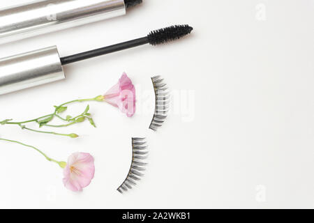 Mascara con eye shadow Foto Stock