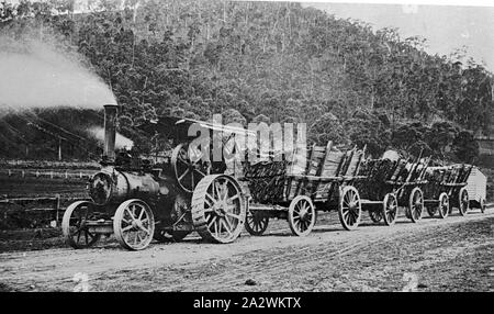 Negativo - Mount Warrenheip, Victoria, circa 1900, Fowler vapore motore trazione su strada oltre il Monte Warrenheip, trasporta un vagone treno con tre carichi di legname listelli di data mining e un salotto van nella parte posteriore Foto Stock