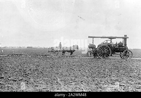 Negativo - Aratura a vapore con motore di trazione tirando tre aratri, Werribee, Victoria, 1910, con trazione a vapore motore (Aveling & Porter?) tirando tre aratri con un cavallo e un carrello. Ci sono due haystacks in background. Ci sono due uomini in piedi nella parte anteriore del motore, sono indossare cappelli, pantaloni e giacche Foto Stock