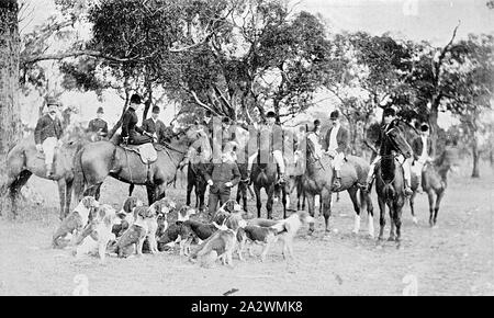 Negativo - Ballarat Hunt Club con Hounds, Ballarat District, Victoria, circa 1890, la Ballarat Hunt Club con i loro cani. Le donne sono di equitazione sella laterale Foto Stock