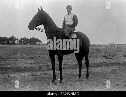 Negativo - Willaura, Victoria, 1918, A.N. Wright sul suo cavallo da corsa 'Dal Douglas Foto Stock