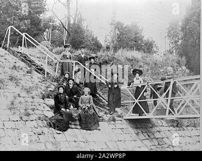 Negativo - Ballarat District, Victoria, pre 1910, un gruppo di persone sui gradini e passerella a Kirk il serbatoio Foto Stock