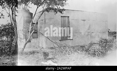 Negativo - Ballarat District, Victoria, pre 1940, una boccola capanna fatta di fogli di stagno Foto Stock