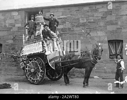 Negativo - Bendigo, Victoria, circa 1895, un carro addobbato dal Pritchard & Chamberlain Brewery preparandosi a prendere parte a una processione. La birreria è in background Foto Stock