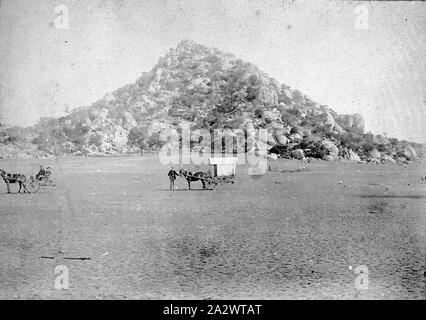 Negativo - Piramide Hill, Victoria, circa 1880, piramide Hill. Vi è un cavallo e carrozza a sinistra e una a cavallo il van al centro della fotografia Foto Stock