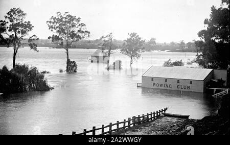 Negativo - Bairnsdale, Victoria, circa 1910, acque alluvionali del fiume Mitchell. Vi è un club di canottaggio sulla destra Foto Stock