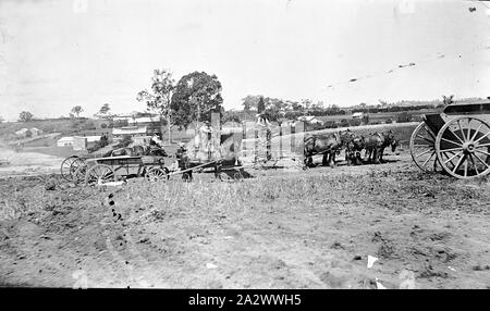 Negativo - Bairnsdale, Victoria, circa 1910, carri trainati da cavalli e altri macchinari agricoli Foto Stock