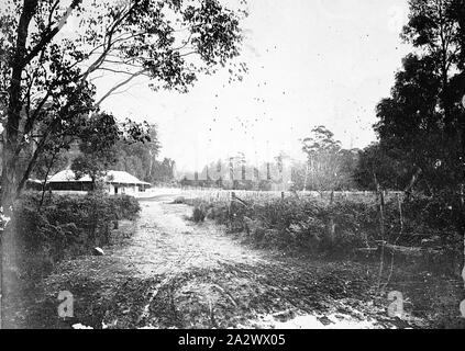 Negativo - Montaggio del distretto di Buffalo, Victoria, 1905, la temperanza Hotel, ora noto come casa di Buffalo Foto Stock