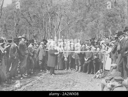 Negativo - Montaggio del distretto di Buffalo, Victoria, 1908, Apertura della strada fino a Mt Buffalo dal Premier Vittoriano, Thomas piegato Foto Stock