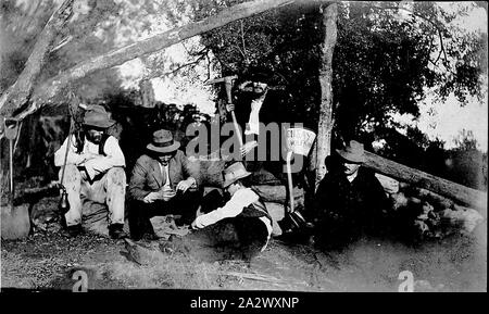 Negativo - Ensay District, Victoria, circa 1905, uomini di ispezionare i campioni di Wolfram (tungsteno). Un secchio appeso a un albero è 'Ensay Wolfram' scritto su di esso Foto Stock