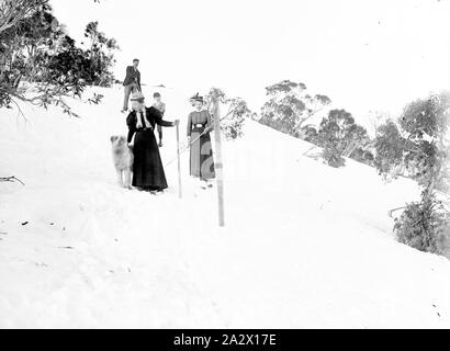 Vetro negativo - Sci di fondo da A.J. Campbell, Australia, circa 1900, due donne, il loro cane, un ragazzo giovane e un uomo lo sci di fondo Foto Stock