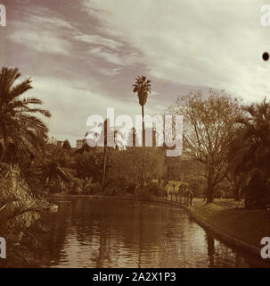 Lantern Slide - lago ornamentale, Royal Botanic Gardens, Melbourne, circa 1940s, una lanterna di colore diapositiva che presenta il lago ornamentale in Melbourne's Royal Botanic Gardens, circa 1940s Foto Stock