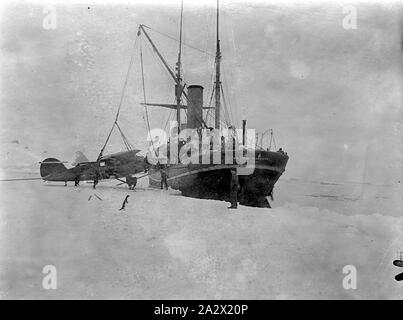 Fotografia - George Rayneri, Beascochea Bay, Antartide, 1928, fotografia, SCARICO LOCKHEED VEGA AEREO DALLA NAVE. La nave è WILLIAM SCORESBY. Fotografia probabilmente preso da GEORGE RAYNERI IN ANTARTIDE Foto Stock