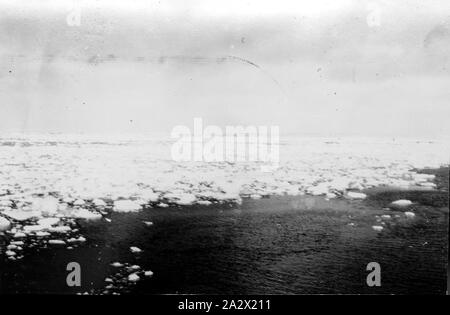 Fotografia - da George Rayneri, Biscoe Isola, Antartide, 1927-1939, fotografia scattata durante una spedizione in Antartide e isole sub-antartiche, circa 1934. Probabilmente preso da George Rayneri Foto Stock