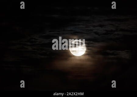 Super luna, Vancouver British Columbia Canada, nov. 14 2016 Foto Stock