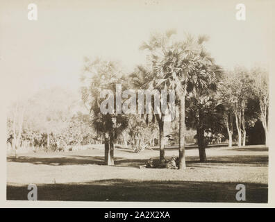 Fotografia - 'Giardini Ezbekia', Egitto, Capitano Edward Albert McKenna, guerra mondiale I, 1914-1915, uno di 108 immagini in un album dalla prima guerra mondiale sono state probabilmente preso dal capitano Edward Albert McKenna. L'album contiene fotografie del 7° Battaglione in Egitto. Immagine del El-Azbakeya giardini, Il Cairo. L'album si riferisce al servizio del capitano Edward Albert McKenna. McKenna, nato a Castlemaine, Victoria, era un 36-anno-vecchio responsabile di reparto di soft merci quando ha arruolato su 17 Foto Stock