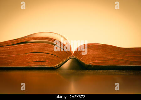 Pagine della Bibbia su uno sfondo giallo - la sacra Scrittura ha evidenziato in oro Foto Stock