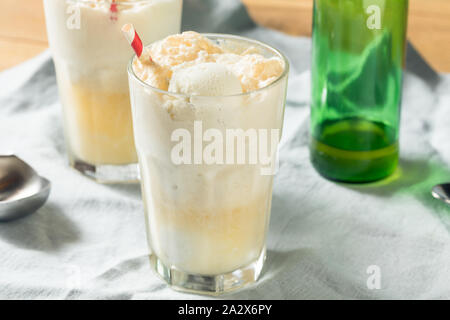 In casa lo zenzero Birra dello scambiatore di calore di Boston con Gelato Foto Stock