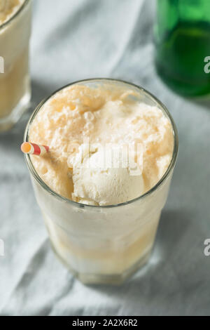 In casa lo zenzero Birra dello scambiatore di calore di Boston con Gelato Foto Stock