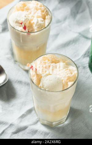 In casa lo zenzero Birra dello scambiatore di calore di Boston con Gelato Foto Stock