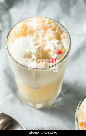 In casa lo zenzero Birra dello scambiatore di calore di Boston con Gelato Foto Stock