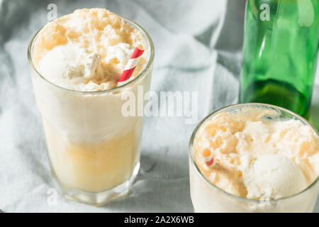 In casa lo zenzero Birra dello scambiatore di calore di Boston con Gelato Foto Stock