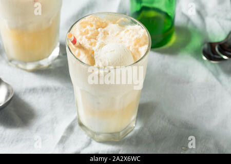 In casa lo zenzero Birra dello scambiatore di calore di Boston con Gelato Foto Stock